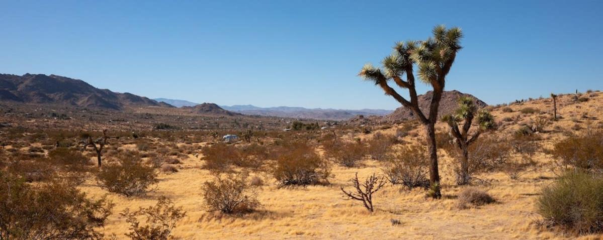 Shelter 1- A Classic- At Joshua Tree Park Entrance Exterior photo
