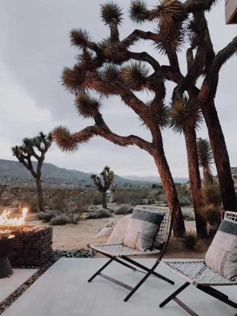 Shelter 1- A Classic- At Joshua Tree Park Entrance Exterior photo